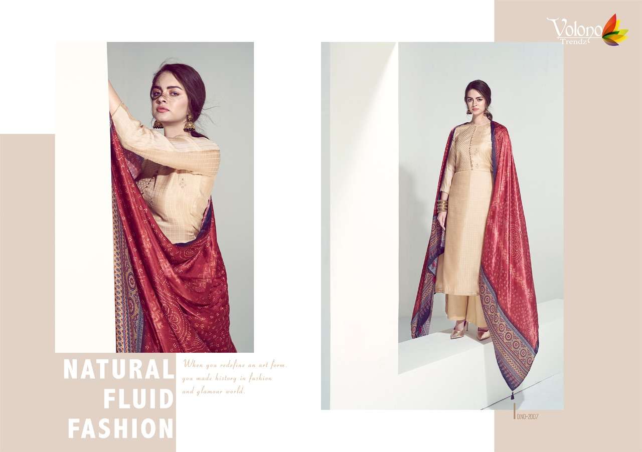 ELAN VOL-2 BY VOLONO TRENDZ 2001 TO 2007 SERIES BEAUTIFUL SUITS STYLISH FANCY COLORFUL PARTY WEAR & OCCASIONAL WEAR PURE PAHSMINA DRESSES AT WHOLESALE PRICE